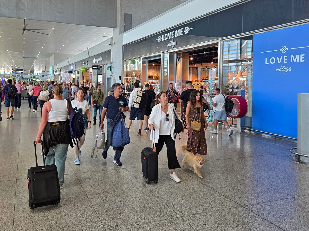 Airlines could cut 85,000 flights as fuel crisis threatens summer holidays