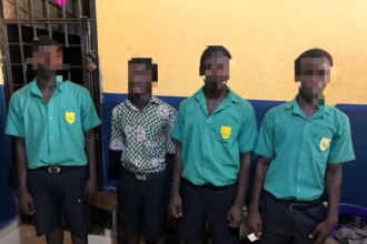 Ada High School technology student arrested over viral hairtail video