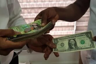 Analysis: Why is the Cedi depreciating?
