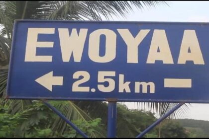Analysis: Why the Ewoyaa lithium project seems stalled even after ratification