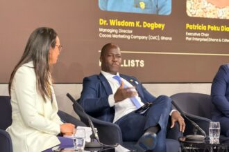 CMC MD appeals to global investors in London to support President Mahama's cocoa sector reforms