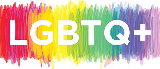 social LGBTQ court