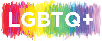 social LGBTQ court