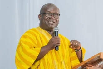 Dispatching national civil servants for mineral exploration – Chamber of Mines CEO