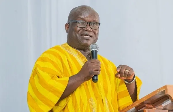Dispatching national civil servants for mineral exploration – Chamber of Mines CEO