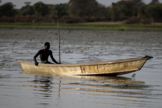 Dozens of Nigerian fishermen feared dead after Chad airstrikes against Boko Haram