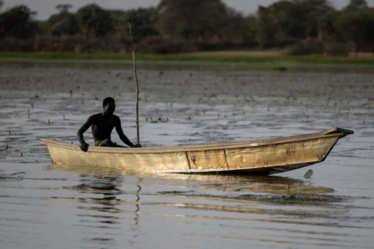 Dozens of Nigerian fishermen feared dead after Chad airstrikes against Boko Haram
