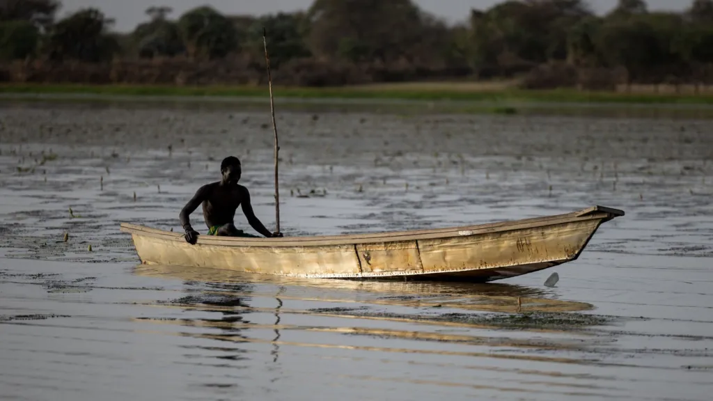 Dozens of Nigerian fishermen feared dead after Chad airstrikes against Boko Haram