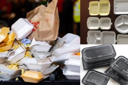 EPA announces ban on Styrofoam products starting January 2027