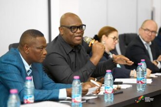 EU investment in Ghana reaches $16 billion - GIPC boss