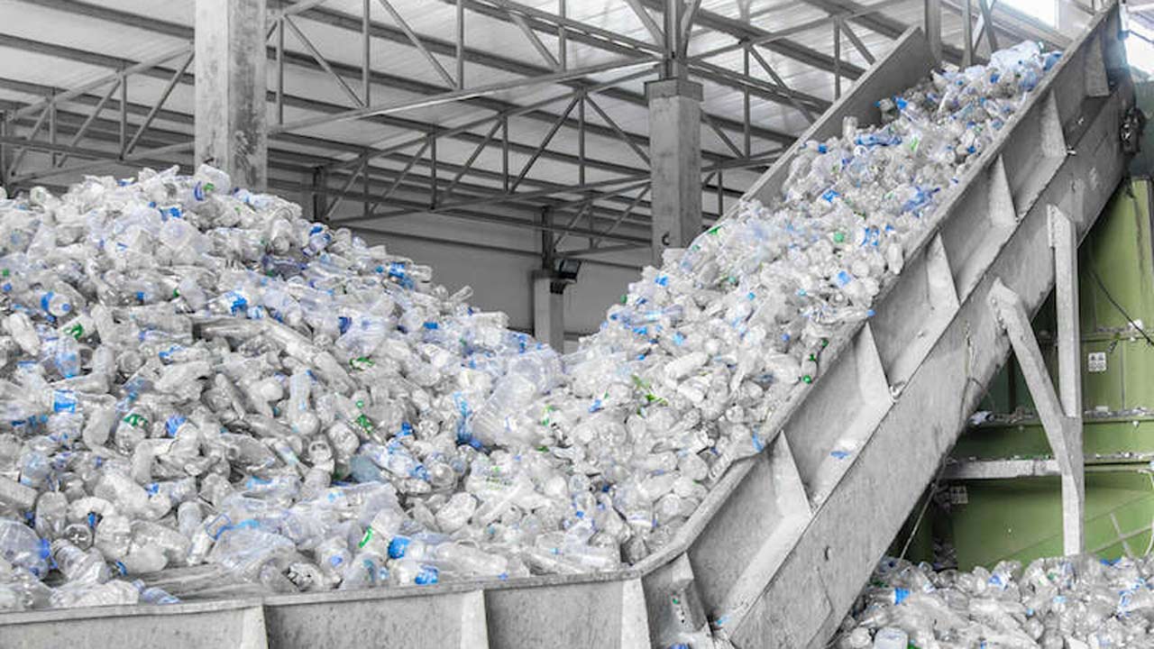 FAO report warns of food safety risks associated with recycled plastics and alternative food packaging