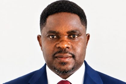 Focus on governance, not intimidation — NPP Germany tells NDC government