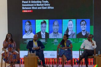 Ghana-Ethiopia business ties are ripe for expansion – GIPC