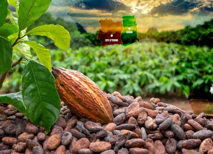 cocoa