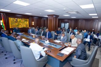 Government involves large-scale mining companies in GANRAP