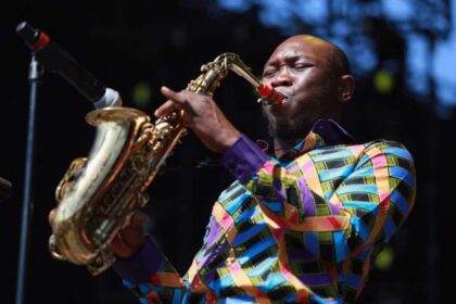 I have been blacklisted in the music industry for 13 years – Seun Kuti