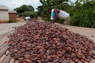 Ivory Coast will send officials to quell protests by cocoa farmers, officials say