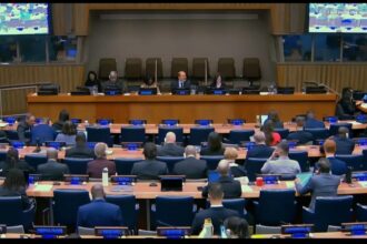 Minister of Lands Kofi Buah touts Ghana's excellent forest management record at United Nations