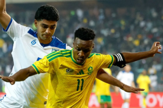 Minister says South Africa was made fun of over World Cup visa issue