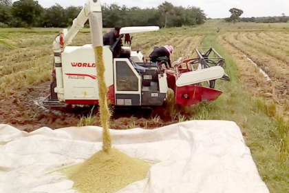 NAFCO needs GH¢770 million to buy surplus rice and grain from farmers