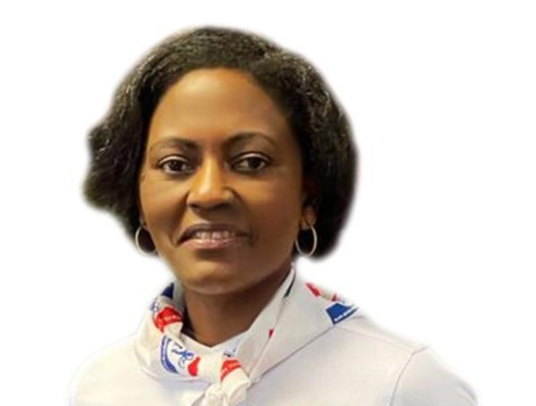 NPP-USA rejects new internal election guidelines, sticks to chapter bylaws