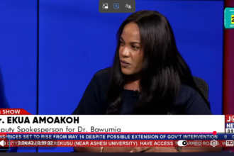 NPP shows signs of unity after internal elections - Dr. Ekua Amoako