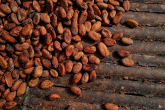 Real chocolate is making a comeback as cocoa prices fall