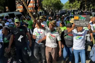 South Africa condemns 'fake video' of alleged xenophobic attack on foreigners