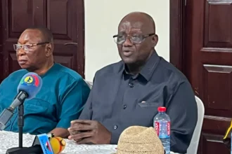 The party has lost ground – Paul Afoko breaks long silence to begin revival of NPP