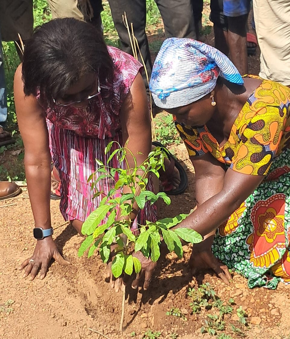 TreeAid Ghana partners with Nviron Hive to launch land restoration and livelihoods project