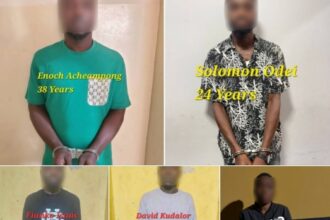 Vehicle theft: Seven suspects arrested in Eastern Region