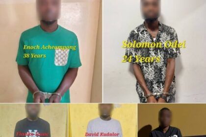 Vehicle theft: Seven suspects arrested in Eastern Region