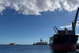 Virus-infected cruise ship arrives in Tenerife, medical workers wait for passengers