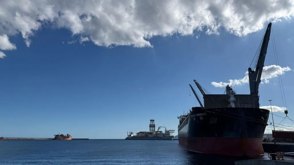 Virus-infected cruise ship arrives in Tenerife, medical workers wait for passengers