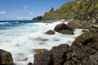 Woman quarantined on British island in South Pacific after coming into contact with hantavirus