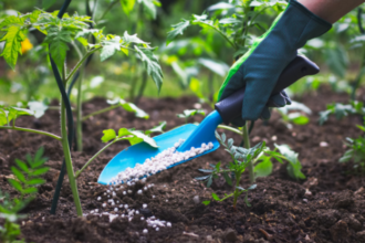 World Bank predicts global fertilizer prices to soar in 2026, warns of risk of food inflation