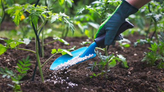 World Bank predicts global fertilizer prices to soar in 2026, warns of risk of food inflation