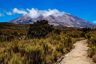 Would you like to climb the highest mountain in Africa? Getting to Kilimanjaro from Europe just got easier