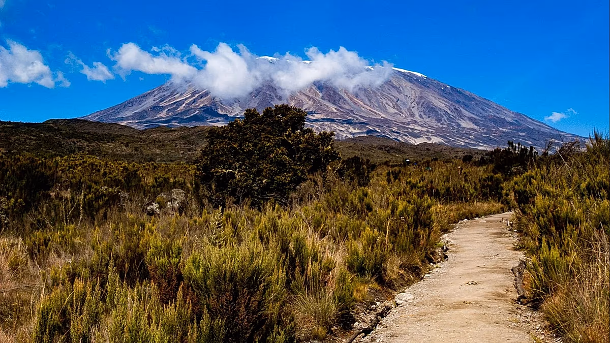 Would you like to climb the highest mountain in Africa? Getting to Kilimanjaro from Europe just got easier