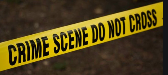 12 killed in Johannesburg shooting, police say