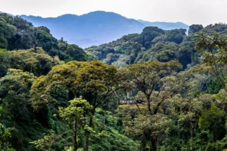 AFF pilot project shows nature-based solutions can restore ecosystems and improve livelihoods