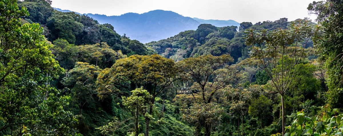 AFF pilot project shows nature-based solutions can restore ecosystems and improve livelihoods