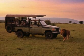 Africa's most popular new safari lodge redefines luxury travel in nature