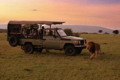 Africa's most popular new safari lodge redefines luxury travel in nature