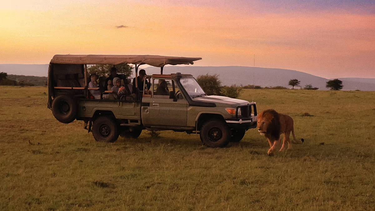 Africa's most popular new safari lodge redefines luxury travel in nature