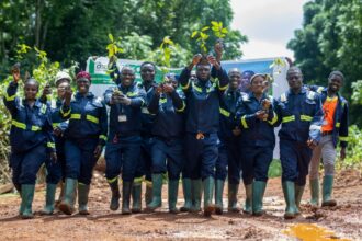 Asante Gold to replant 800 hectares of degraded Tano Surau forest