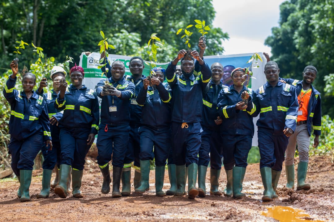 Asante Gold to replant 800 hectares of degraded Tano Surau forest