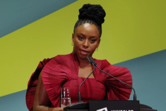 Author Chimamanda Adichie slams hospital for delaying investigation into son's death