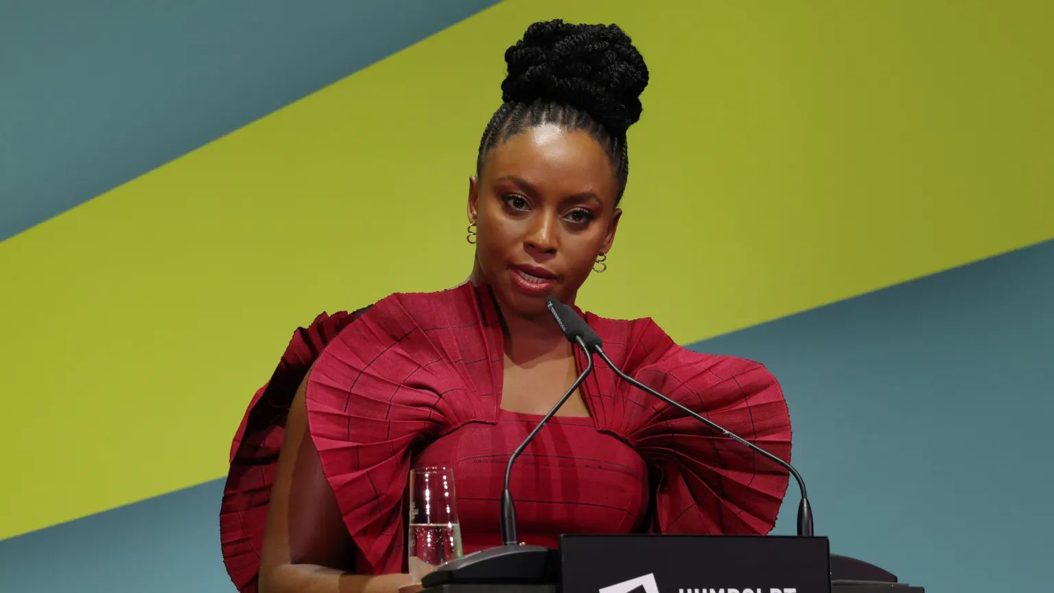 Author Chimamanda Adichie slams hospital for delaying investigation into son's death