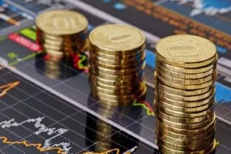 domestic debt exchange program